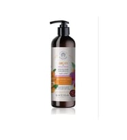 Sheida Argan Wild Rose Canlandırıcı Duş Jeli