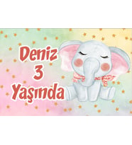 Sevimli Fil Doğum Günü Afişi 35X50 cm