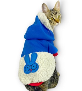 Sweet Blue Rabbit Sweatshirt Kapşonlu Kedi Kıyafeti Kedi Sweatshirt (Turuncu)