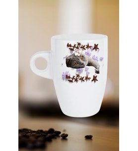 Sevimli Kedi Baskılı Kupa Bardak Porselen Latte Filtre Kahve Fincanı