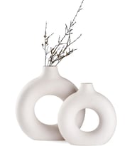 2'li Set Modern Ev Dekorasyonu için, Yuvarlak Mat Vazolar Pampa Çimi için, Nötr Boho İskandinav Minimalizm Tarzı Çiçek Vazoları (Büyük+küçük)