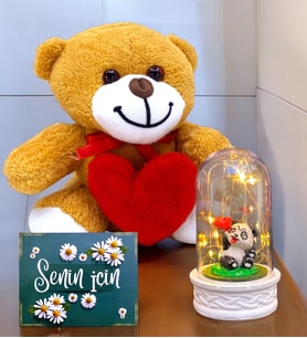 Kalpli Sevimli Peluş Ayıcık ve Led Işıklı Tasarım Fanus Hediye Seti  Premium Set (Model 5)