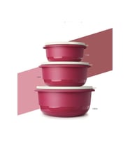 Tupperware Fuşya Miksim Serisi Hazırlama Servis Seti 1lt 2lt 3.5lt