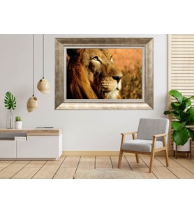 Gümüş Çerçeveli Tablo nb1685