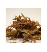 Kurt Pençesi 35 Gr, Lokman Aktar