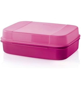 Tupperware Saklama Kabı F20 2.4 Lt Yeni Renk