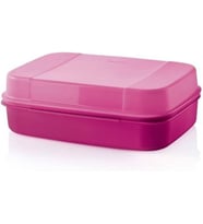 Tupperware Saklama Kabı F20 2.4 Lt Yeni Renk