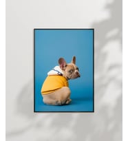 Mavi Fondaki Sarı Ceketli Köpek Poster (Çok Renkli)