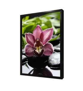 Spa Taşları ve Orkide Çerçeveli Mdf Tablo