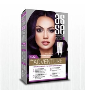 Asse Hair Color System Saç Boyası Patlıcan Moru No: 4.22