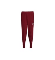 adidas TURKIYE P PNT M Erkek   Eşofman Altı JH0784
