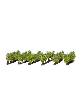 Noch 21540 Üzüm Asmaları, 24 Adet, 2,2 cm., Diorama Malzemesi