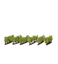 Noch 21540 Üzüm Asmaları, 24 Adet, 2,2 cm., Diorama Malzemesi