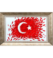 GÜMÜŞ ÇERÇEVELİ TABLO N457