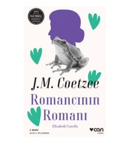 Romancının Romanı