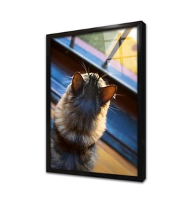 Kedi Çerçeveli Cam Tablo