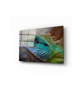 Miyrem Glasses Collection -A1^#  Iguana Cam Tablo (Çok Renkli)