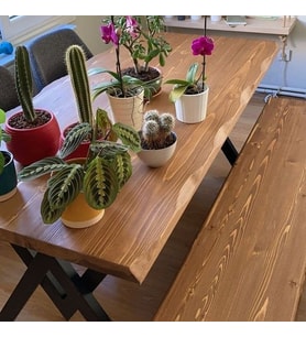 Deryawood Masif Ağaç Mutfak Masası 85Cmx85Cmx76Cm- Acık Ceviz- V Ayak  Açık ceviz 15