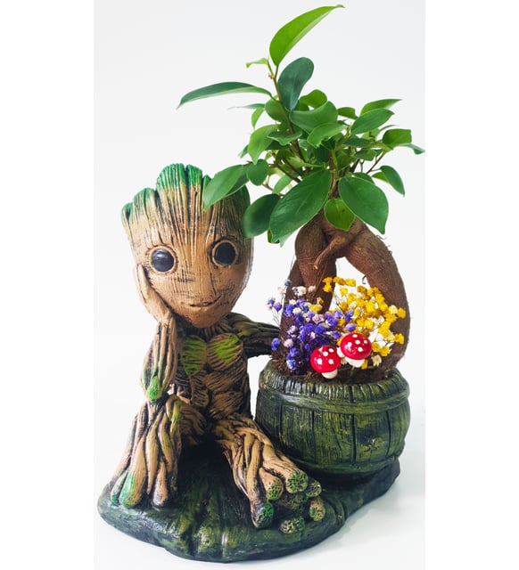 Groot ve Bonsai