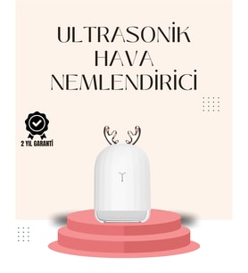 Usb Şarjlı Mini Usb Nemlendirici Led Işıklı Masaüstü Cihaz - Lisinya