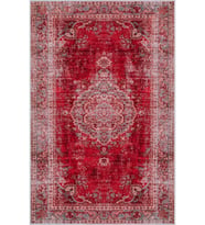 Eliana Home Baskılı, Yıkanabilir Kaymaz Taban Salon Halısı LNA1645-HY1198 100x150 cm (Kırmızı)