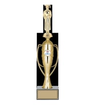 ODAK KUPA - Figürlü Kupalar - Mezuniyet Erkek Figürlü Kupalar FG-026 C - 40 cm