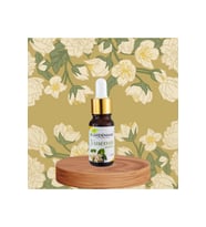 Yasemin esansı 10 ml