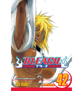 Bleach, Vol. 42