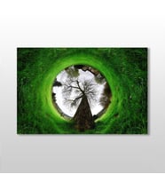 Küre Çimenlik Kanvas Tablo 105x70cm (Karışık)