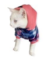Mini Suqare Pie Kapşonlu Sweatshirt Ceket Kedi Süeteri Kıyafeti  (Çok Renkli)