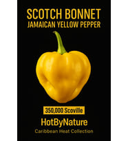 SCOTCH BONNET JAMAICAN YELLOW PEPPER 350.000 Scoville - Gerçek Taze Acı Biber