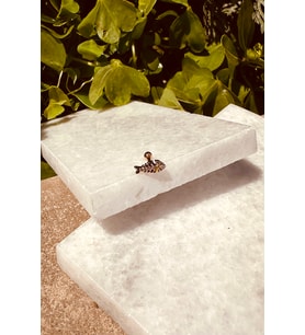 Balık Tasarım Özel Tasarım Rose Gold Renk Stainless Steel Çelik Tragus Helix Piercing