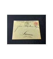 1902 İsviçre Helvetia 10 Franco Pullu Pansiyon / Pension Seehof Seewen ait Zarf varış Damgalı