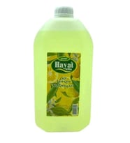 5 L Limon Kolonyası