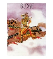 Muhabbet Kuşu Bandı Tablo Ahşap Poster Dekoratif G3