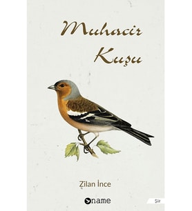 Muhacir Kuşu - Zilan Ince (Krem)