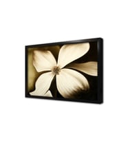 Çiçek Çerçeveli Mdf Tablo