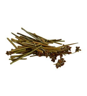Doğan Kayışkıran Otu Doğal 1000 Gr Paket (Yeşil)