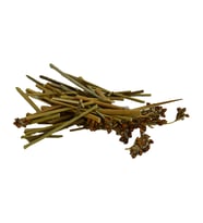 Doğan Kayışkıran Otu Doğal 1000 Gr Paket (Yeşil)
