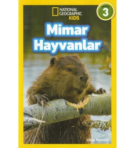 Kids - Mimar Hayvanlar - Seviye 3