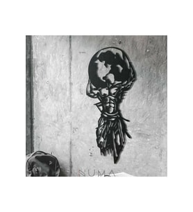 Atlas Duvar Dekorasyon Ürünü 39x21 Cm (Siyah)