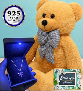 Işıklı Kutusunda 925 Ayar Gümüş Kolye ve 80cm Kahve Peluş Ayıcık (Model 1)