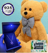 Işıklı Kutusunda 925 Ayar Gümüş Kolye ve 80cm Kahve Peluş Ayıcık (Model 1)