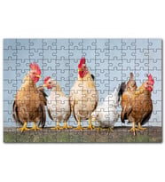 Cakapuzzle Duvarın Üstünde Kahverengi Beyaz Tavuklar Puzzle Yapboz MDF (Ahşap) (120 Parça)