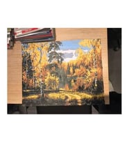 Gölet Manzarası Sayılarla Boyama Seti 40x 50 cm (Tuvale Gerili)