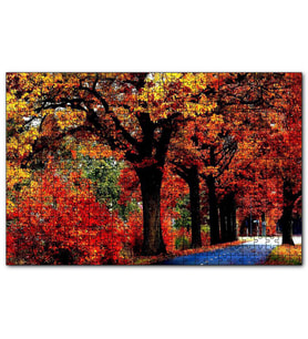 Cakapuzzle Ağaçlı Yol ve Sonbahar Yaprakları  Puzzle Yapboz MDF (Ahşap) (120 Parça)