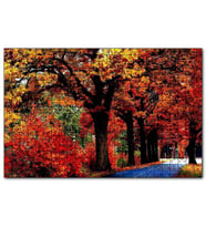 Cakapuzzle Ağaçlı Yol ve Sonbahar Yaprakları  Puzzle Yapboz MDF (Ahşap) (120 Parça)