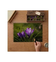 Mor Kır Çiçekleri Tasarımı 240 parça Ahşap Puzzle Ahşap Kutuda MP02336