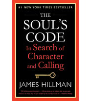 The Soul'S Code: In Search Of Character And Calling