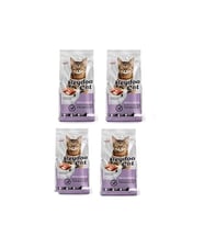 Somonlu Kısırlaştırılmış Kedi Maması 2 KG X 4 ADET